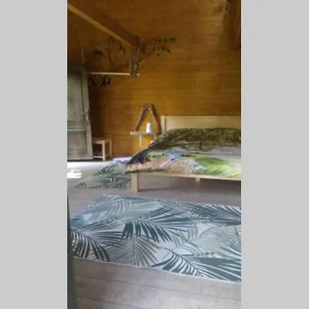 Chalet Casuta Veveritelor - Casuta In Copac *