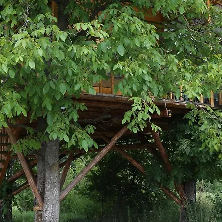 Casuta Veveritelor - Casuta In Copac Chalet *