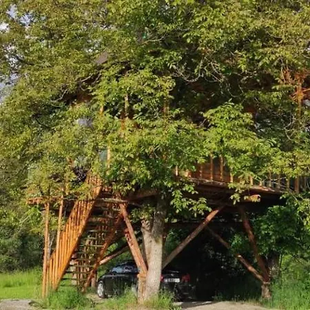 Chalet Casuta Veveritelor - Casuta In Copac Moisei