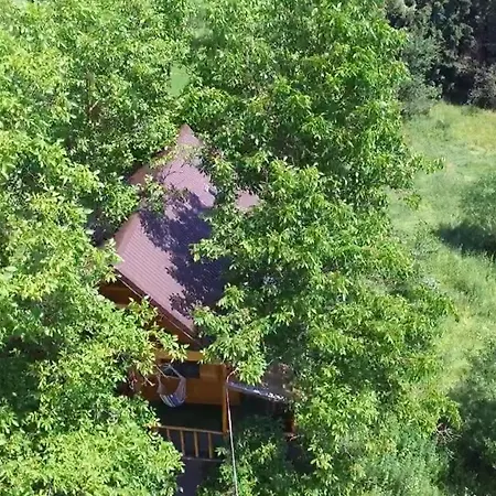 Chalet Casuta Veveritelor - Casuta In Copac *